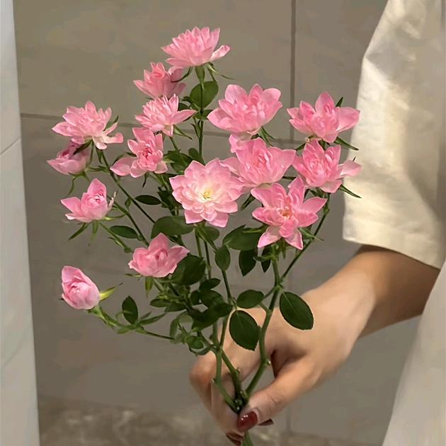 ঞ᭄时来运转ꦿഒᩚ࿐