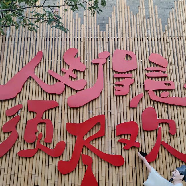 从此以后  (ง •̀_•́)ง