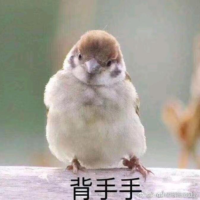 啊漁写字