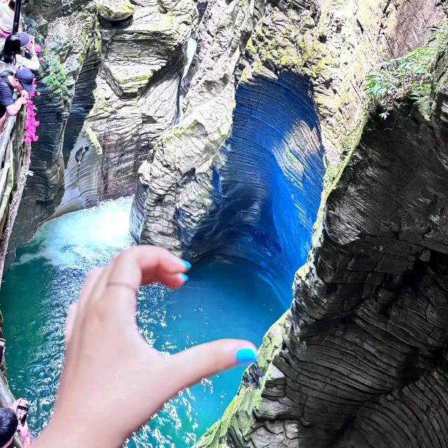莎