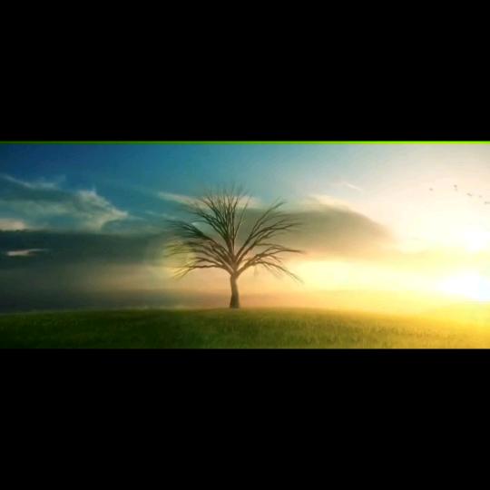 失眠找我，30分钟入睡（无副作用）