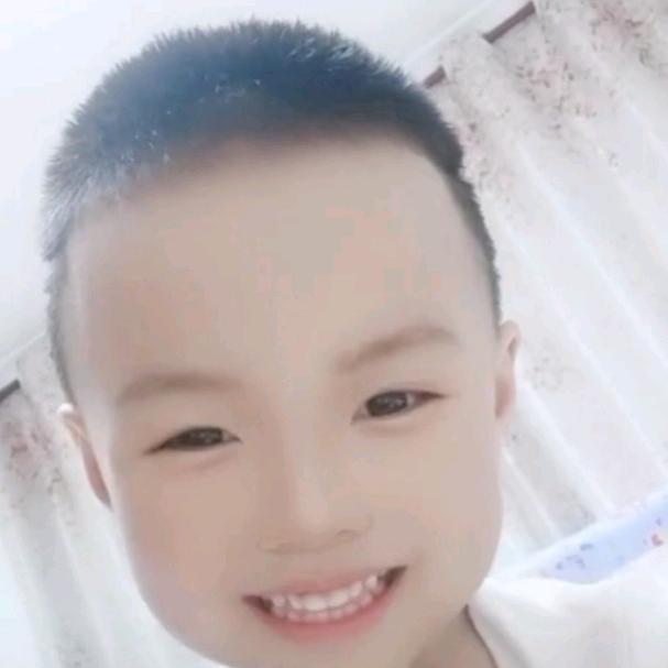 💫卡卡罗特