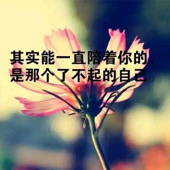 落叶不随风
