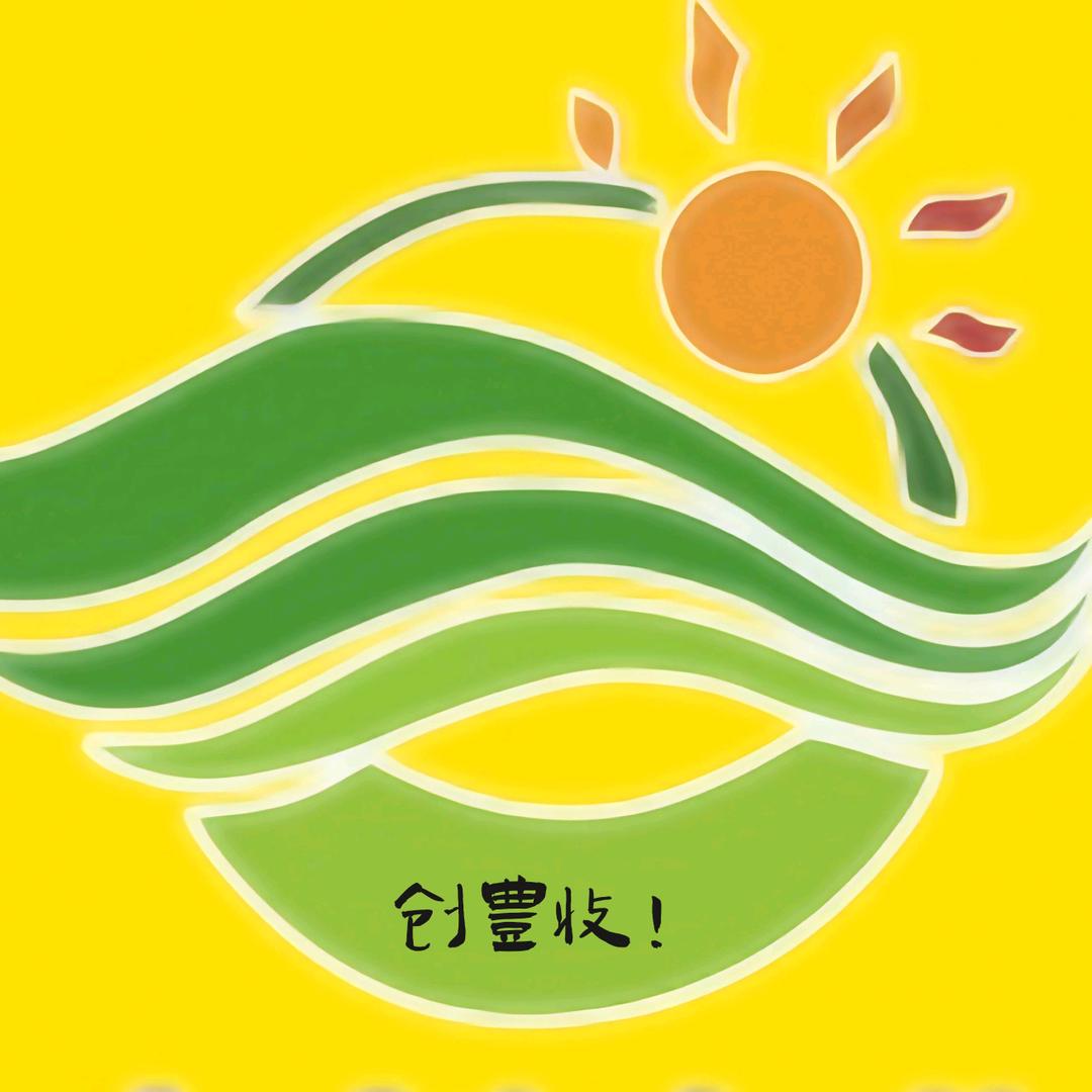 扬帆起航