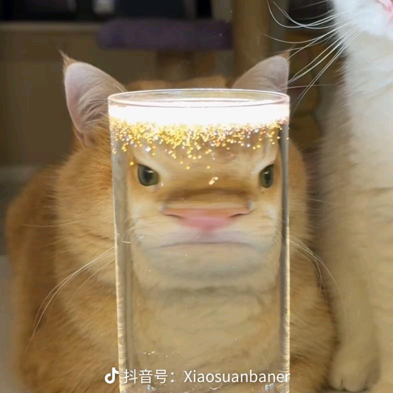 平平安安可太棒了头像