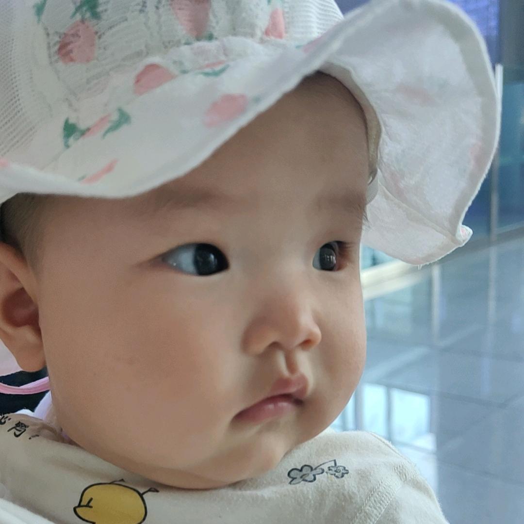 连书根