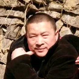 桃花淺开一壶酒