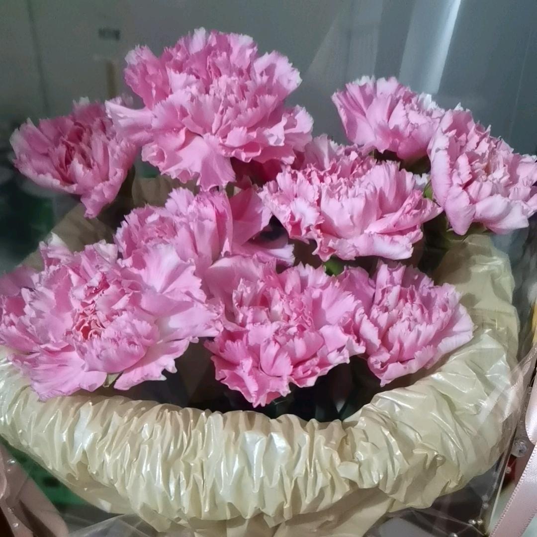 刘三姐歌星