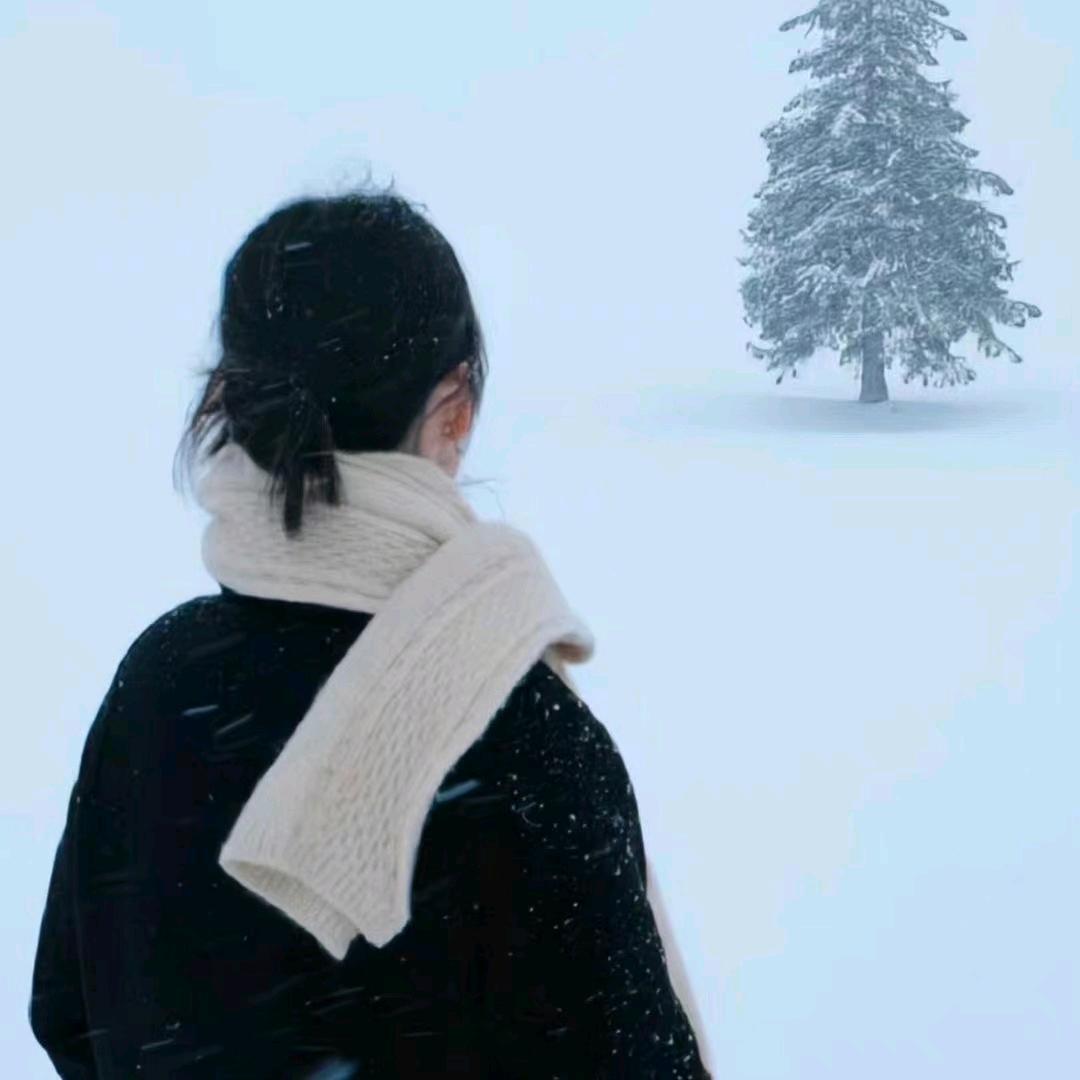 白梧桐