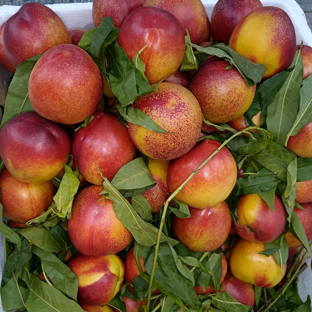 轩轩水果零食铺