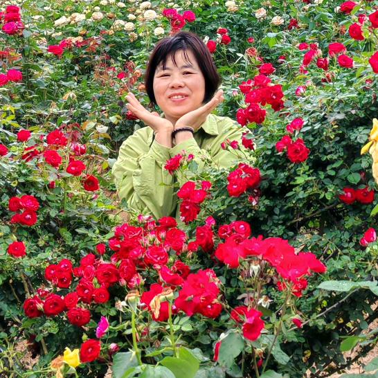 如鱼得水