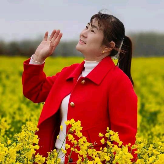 梦想成真^