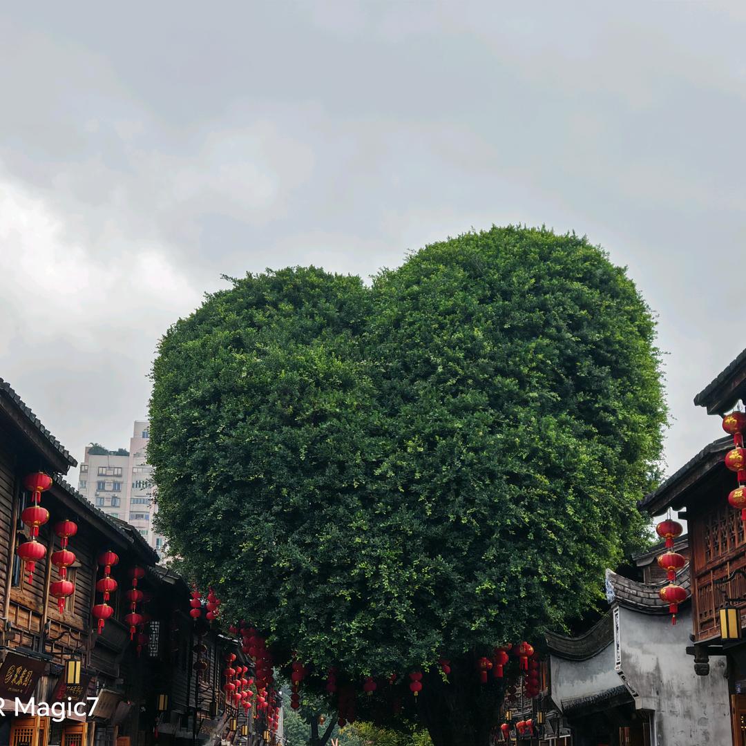 起名太麻烦了