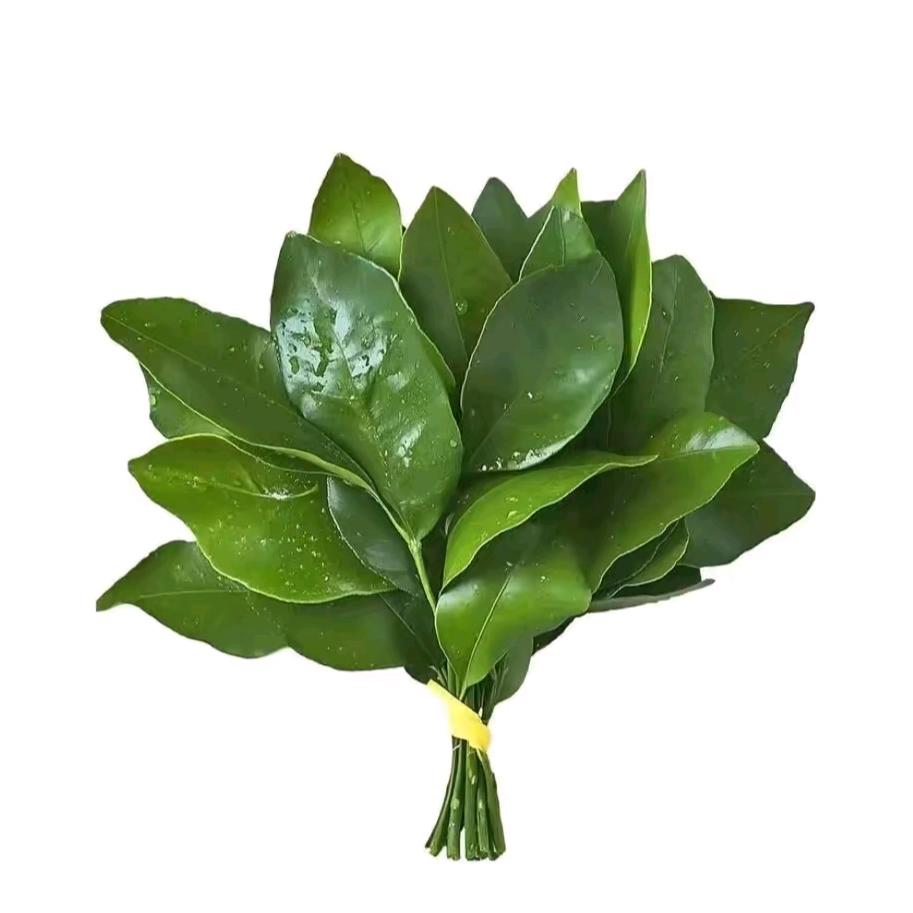 无了个大喻