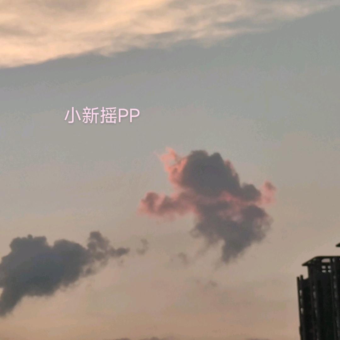 哈哈哈哈哈哈哈哈