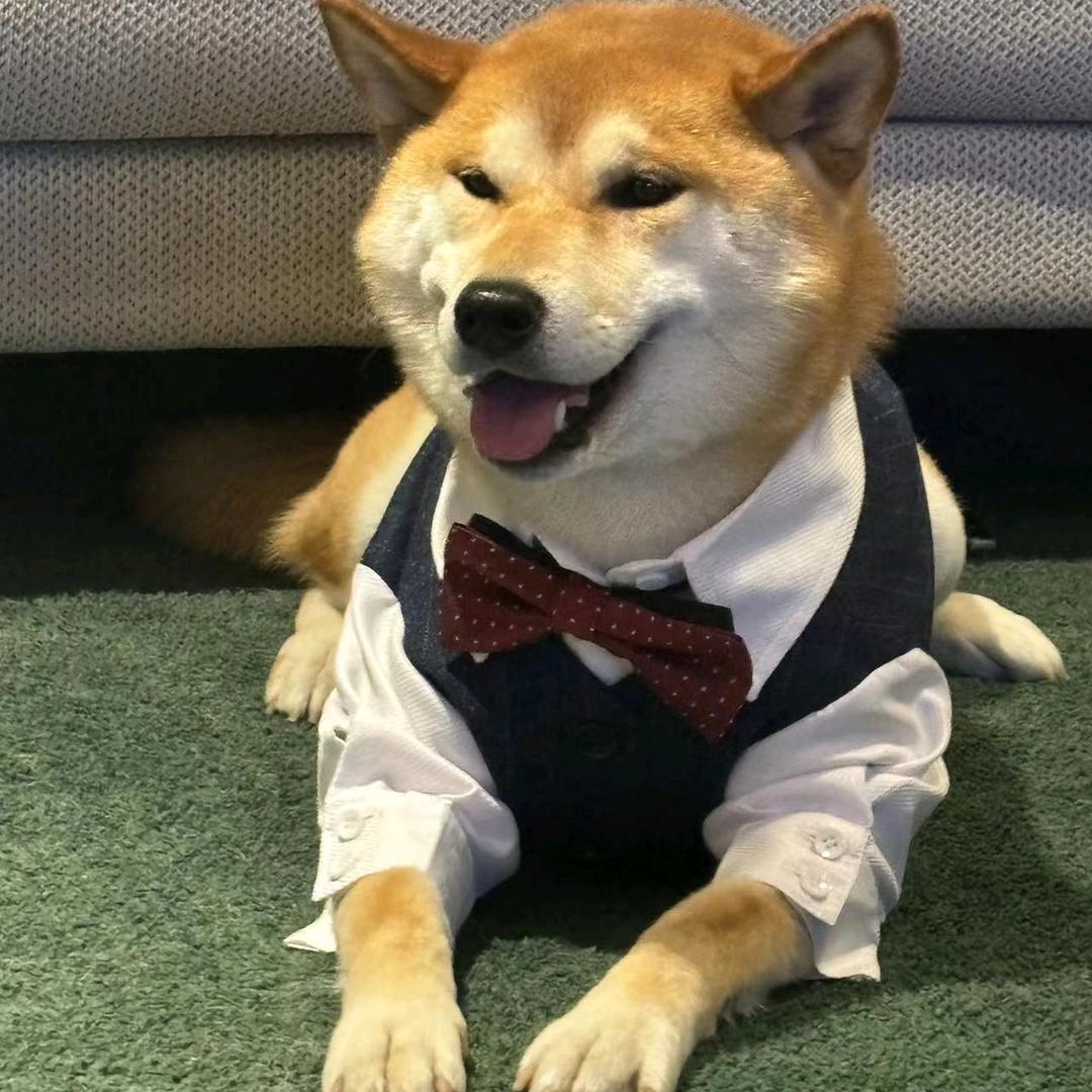 仨姐