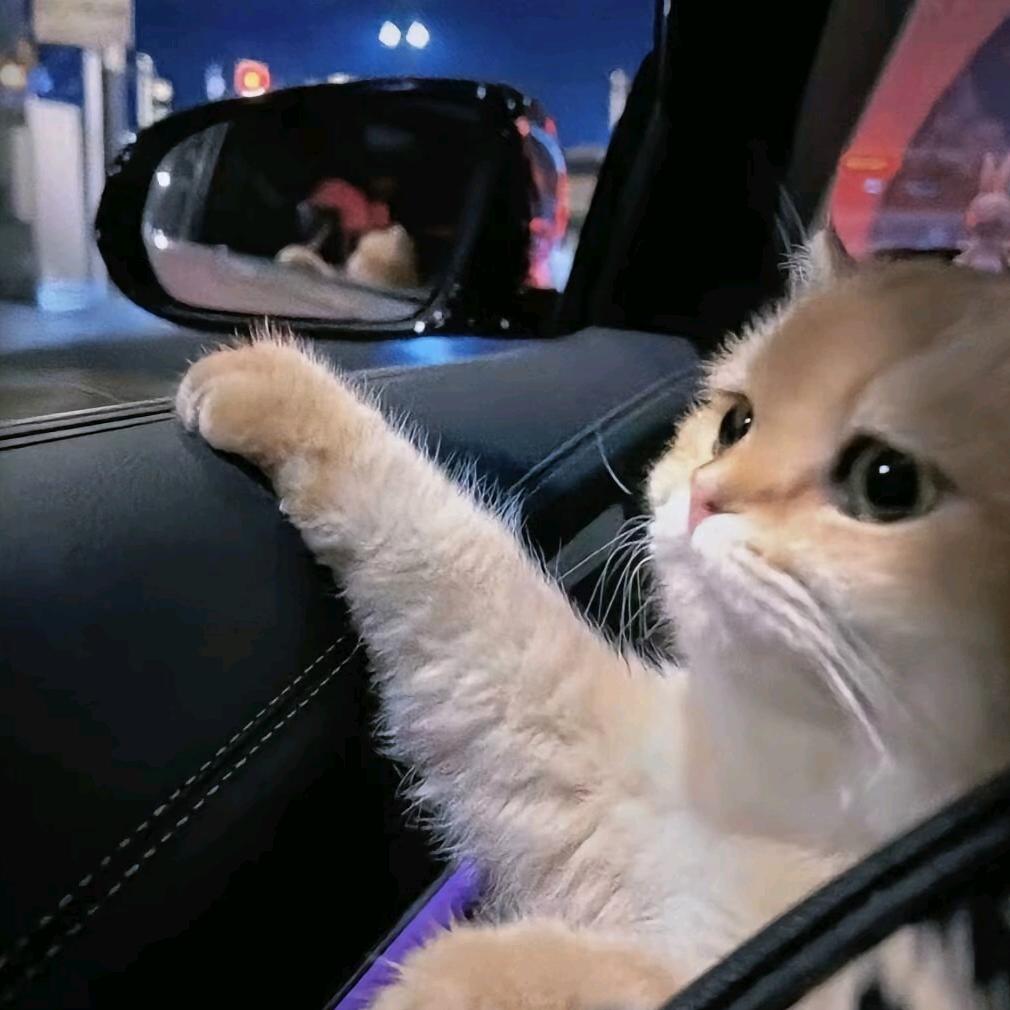 ✾͡◌ೄ೨