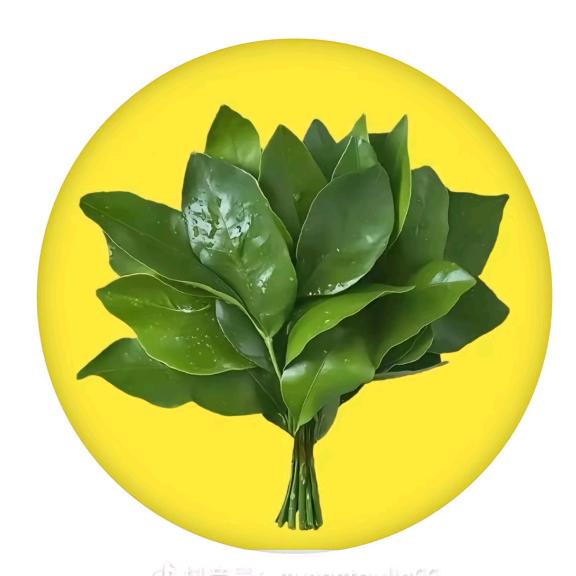 盼盼木门庆城店