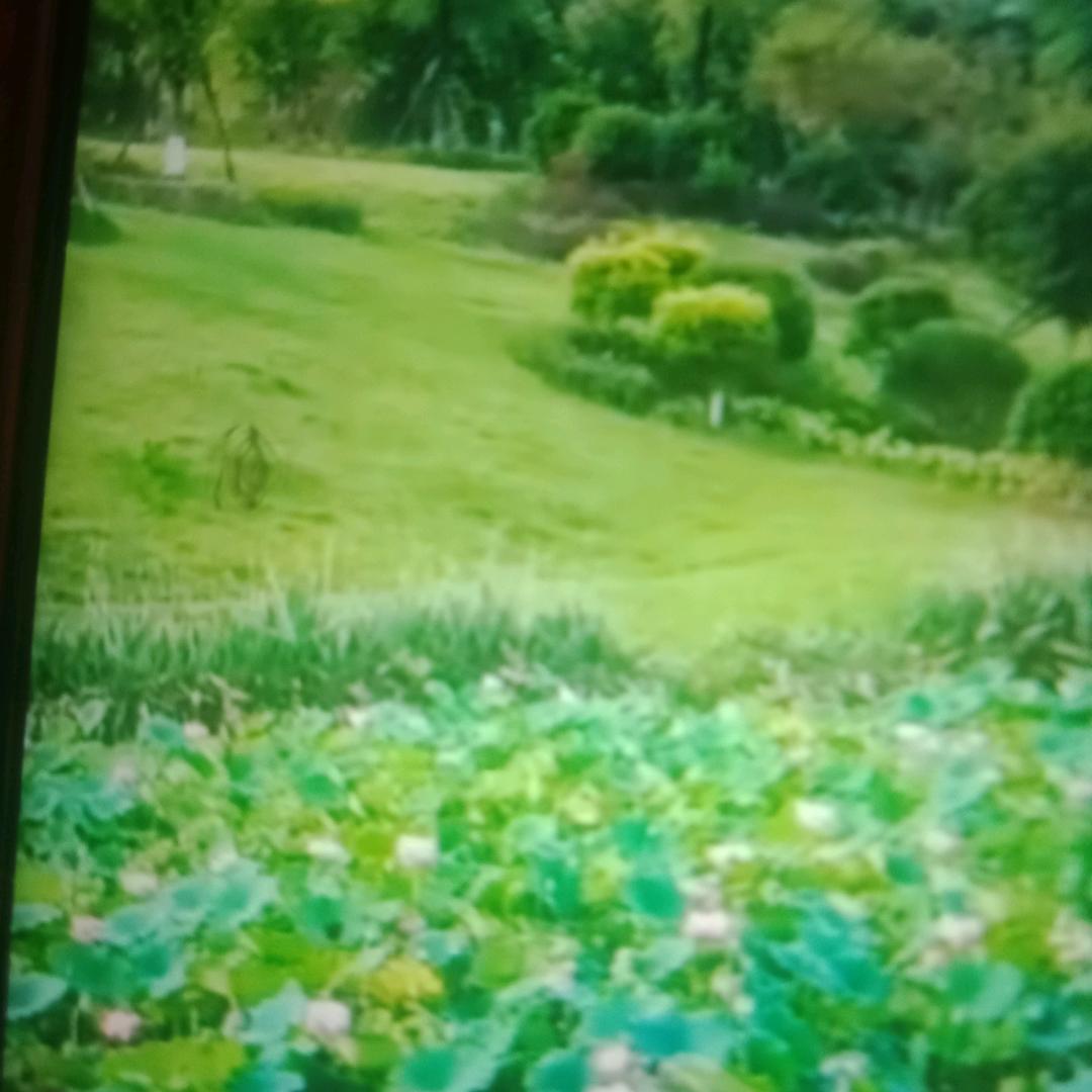 我爱