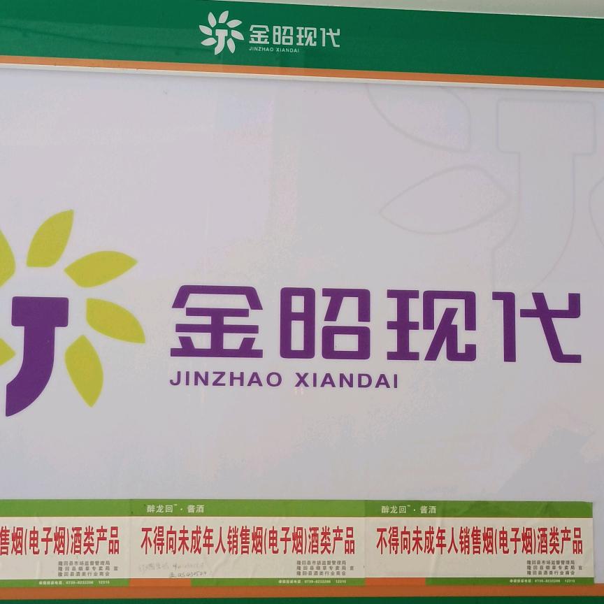 金昭现代