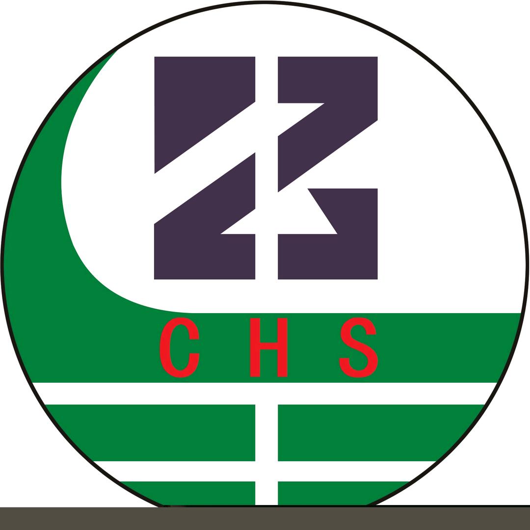 新疆绿洲有限公司