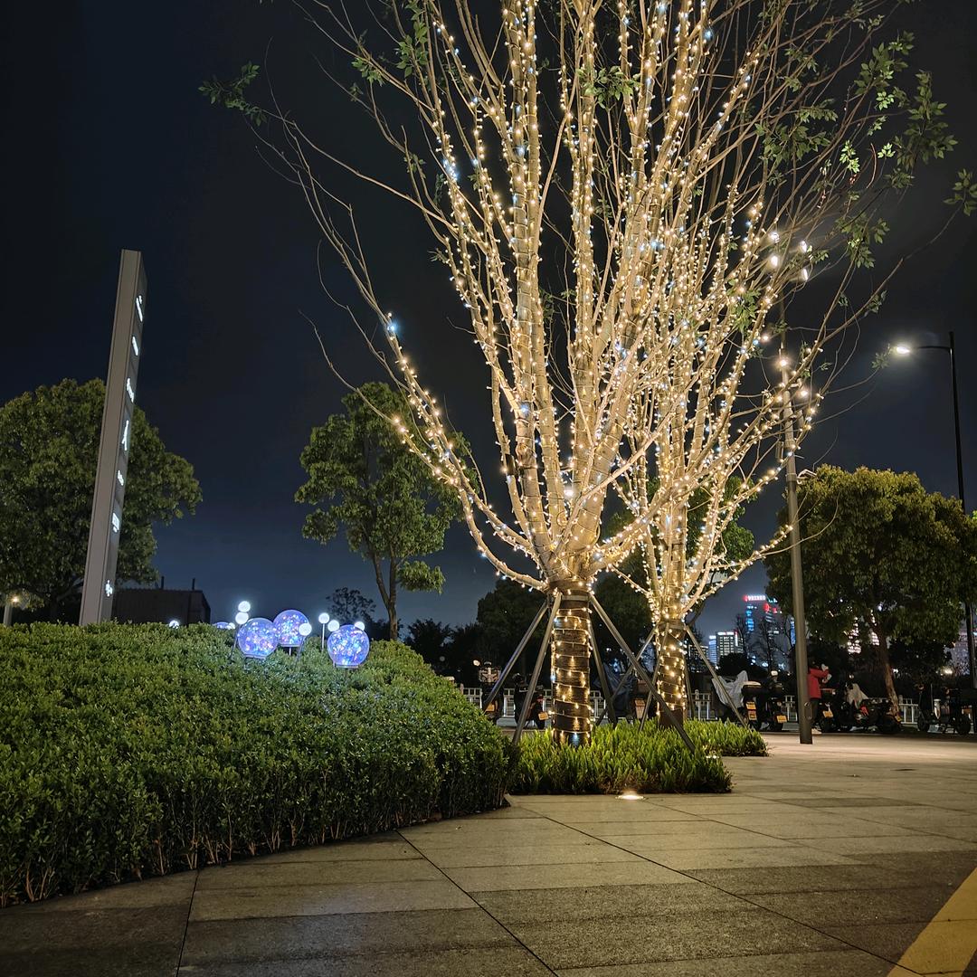 💰木💰子🎁李🧧