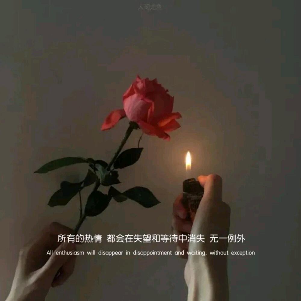 爱喝柠檬汁🍋＊＊橱窗有好物