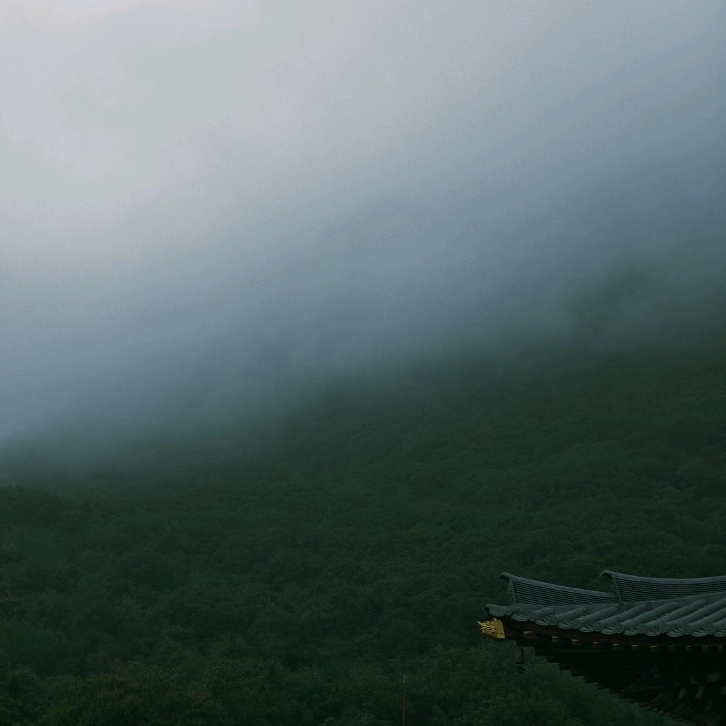 方圆市的小道童