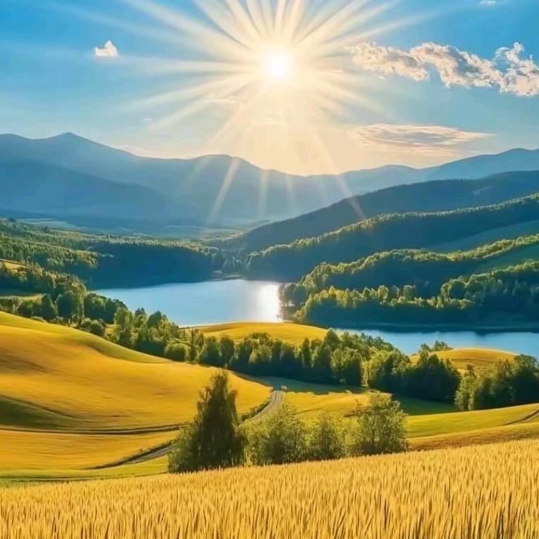 🍃ꦿ幸༒运ོ࿐ུ:来$财∂