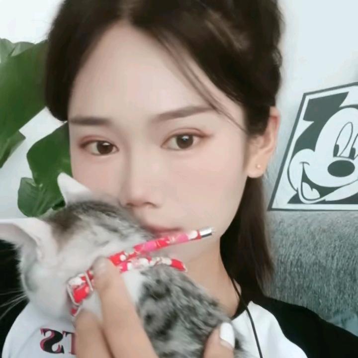 鲁鲁LL