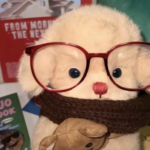 小小怪将军 👾 🍿