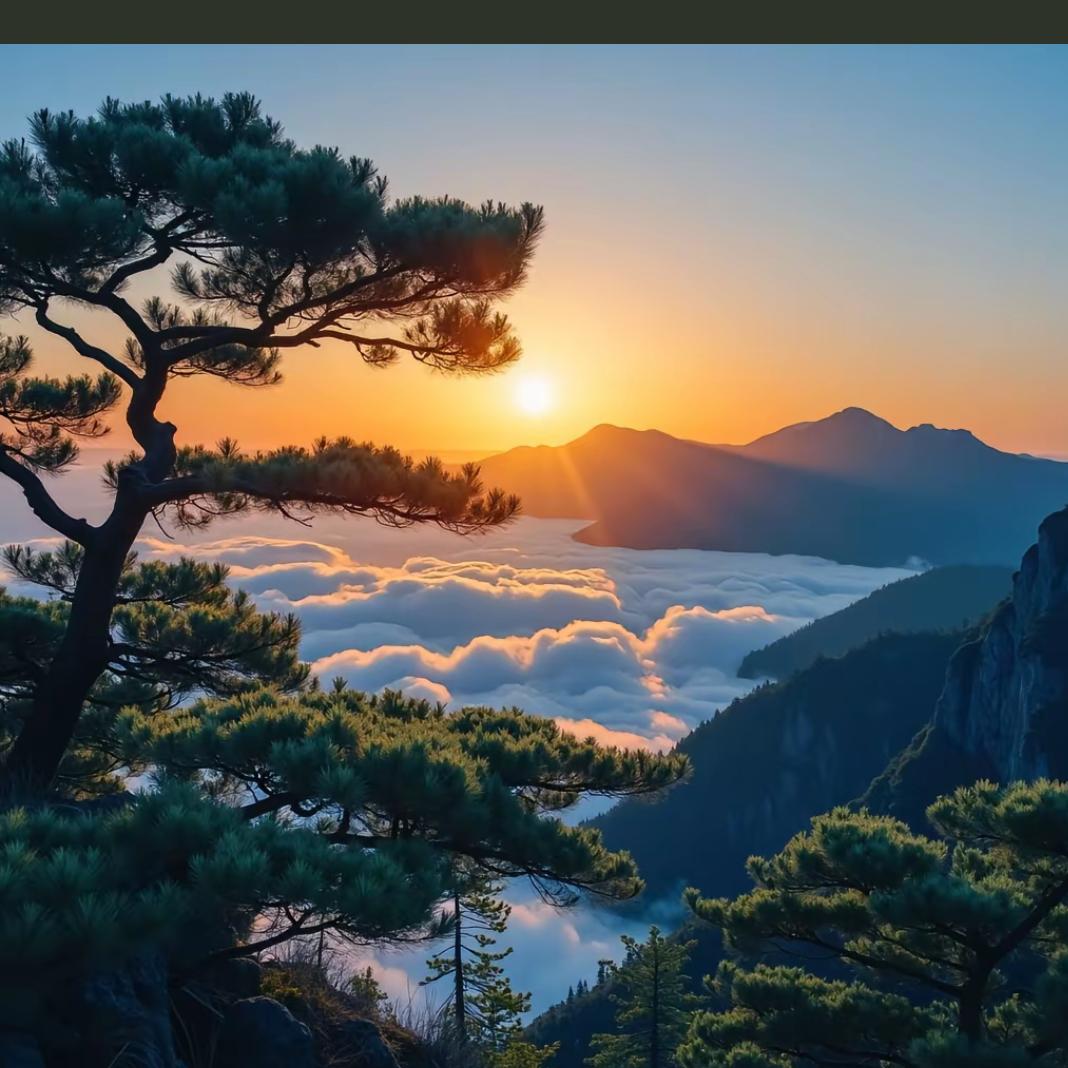 不含放开🍒