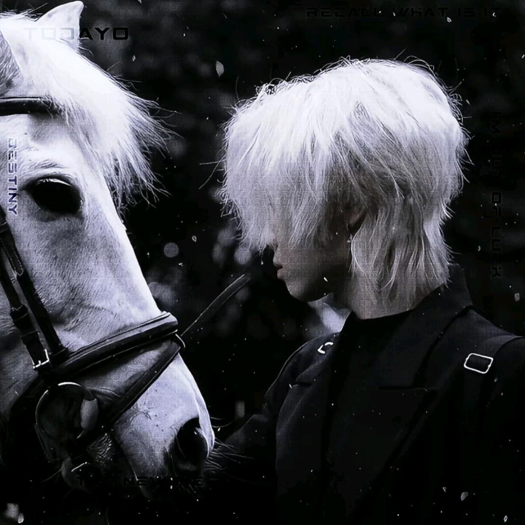 ✨𝒟.97