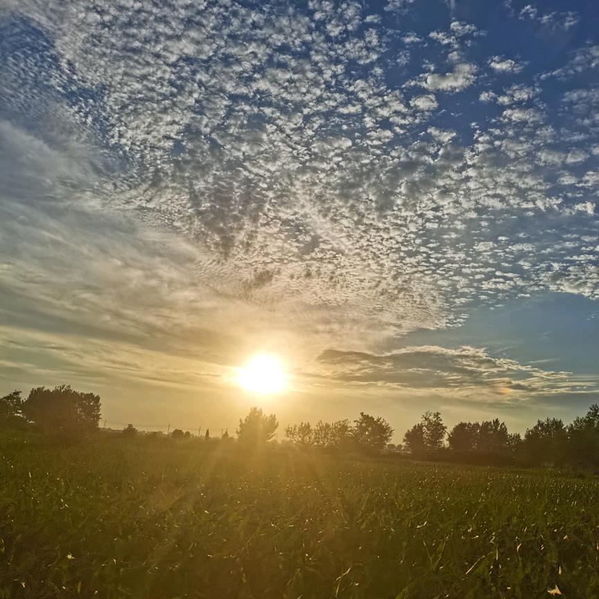 小胖(视频同款书籍在橱窗)