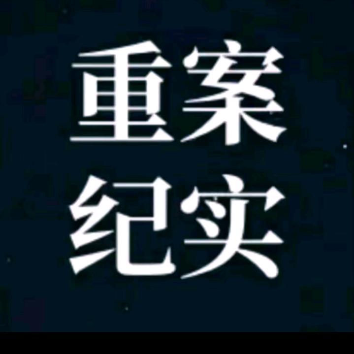 重案纪实A