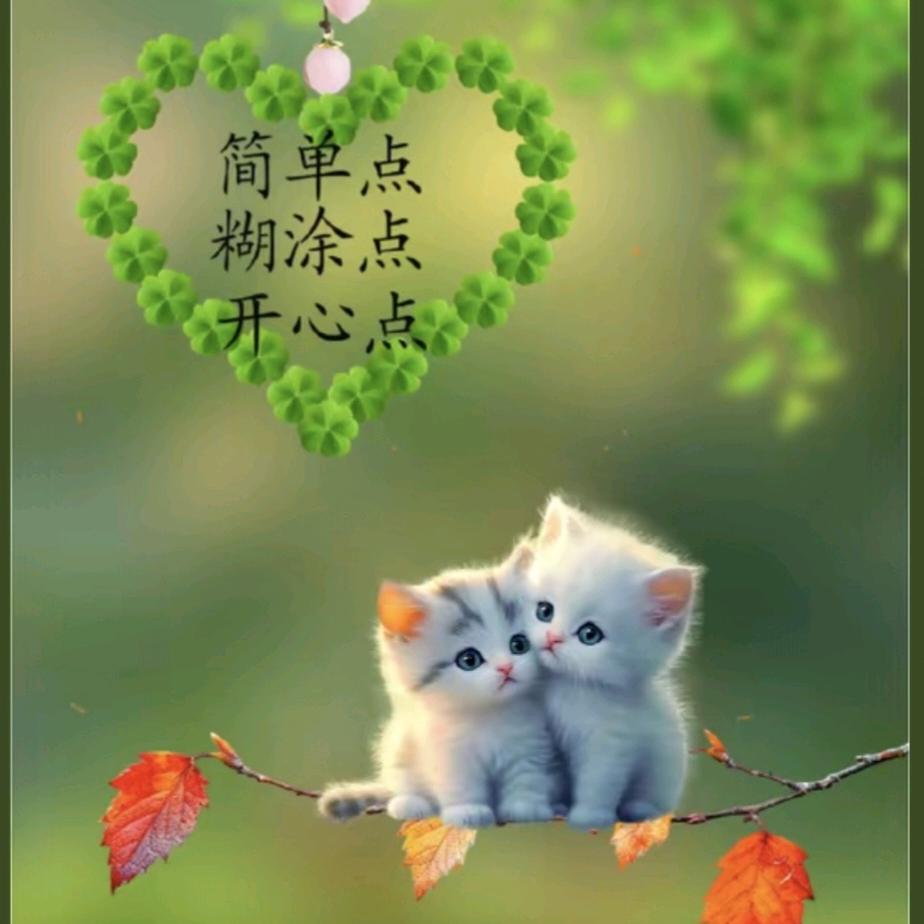 💪黔江兴荣