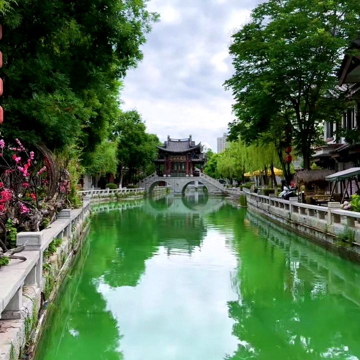 我的人生我做注晓楊哥