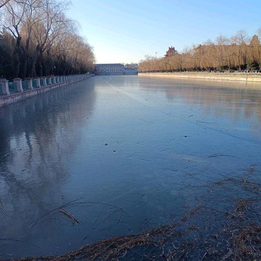 人生如戏🐉🐉🐉🐉🐉🐉