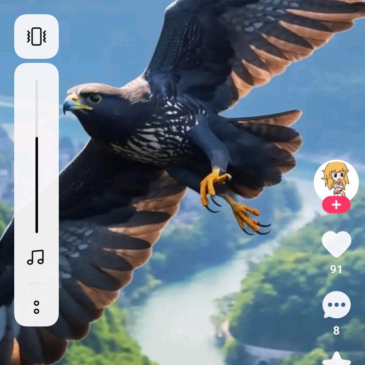 草原上的雄鹰