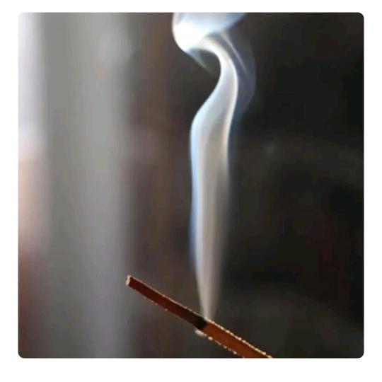 花儿