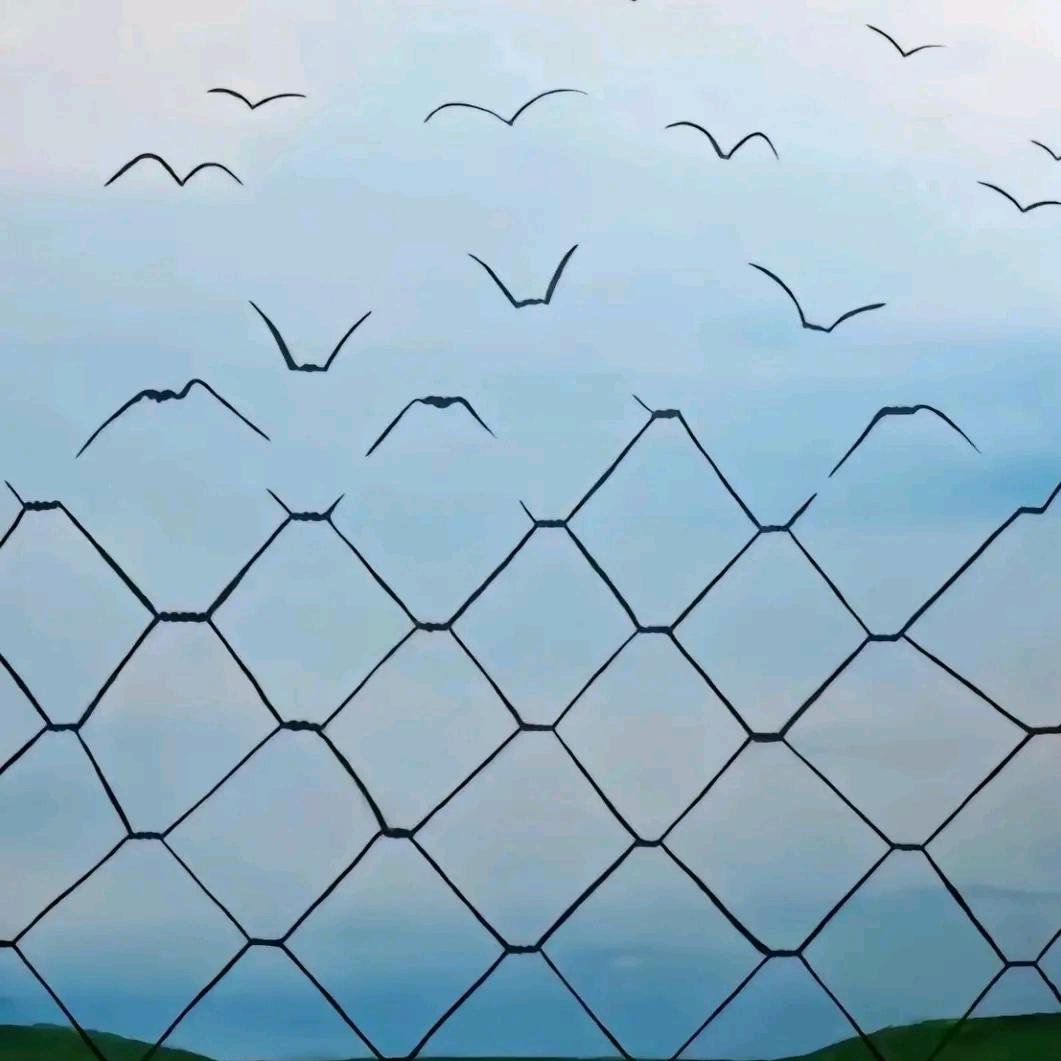 陌雨丶