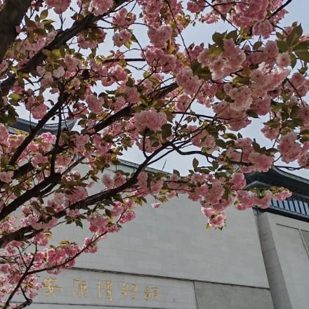 芦广华散文