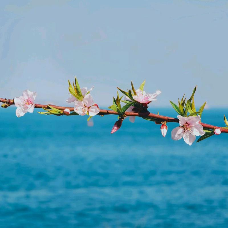 静 静