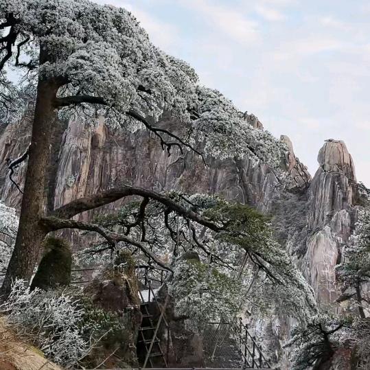 🌺🍒平安💝🌷