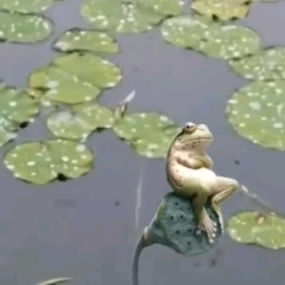 俗人一个贪财好色