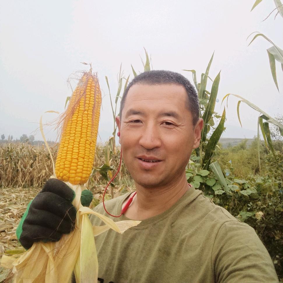鹏飞在农村的快乐生活