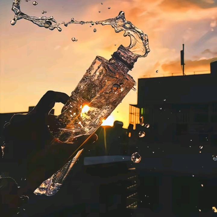故巷与猫`