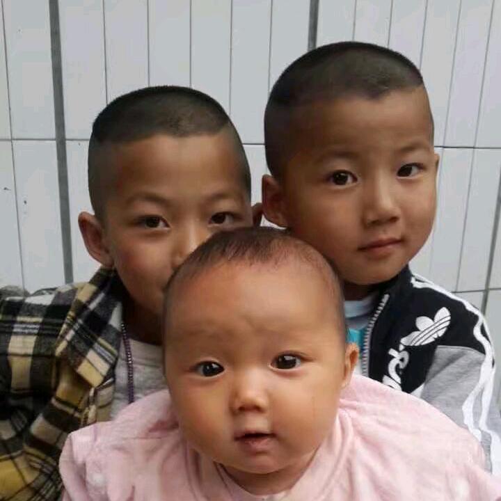 杨🌷杨💐🐑🐑