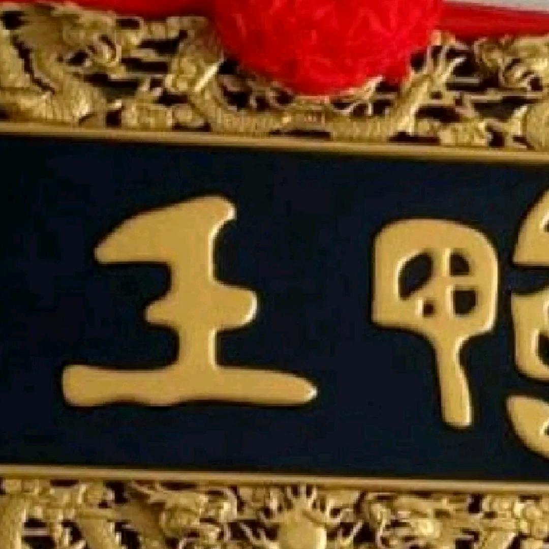 鸭王老陈