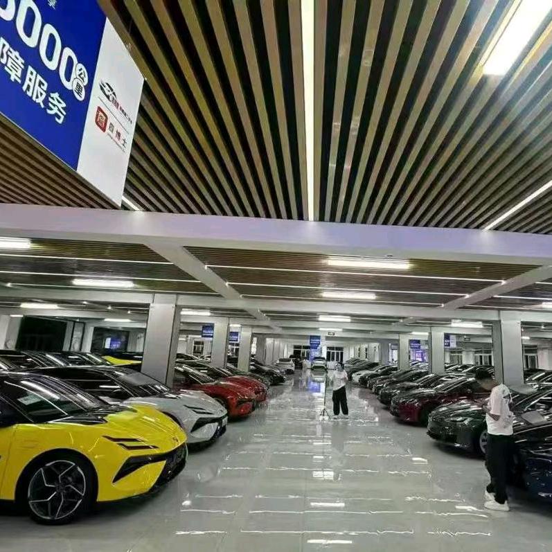 上海新能源心若汽车买卖一站式服务（向阳）